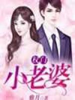 权门小老婆