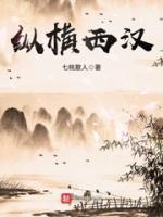纵横西汉