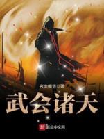 武会诸天