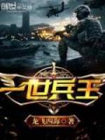 一世兵王(龙飞四海)
