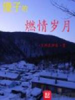 傻子的燃情岁月