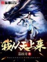 我从天上来/荔枝哥