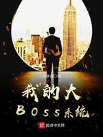 我的大BOSS系统
