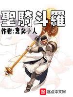 圣骑斗罗