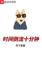 时间倒流十分钟