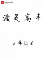 渡灵高手