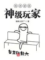 我老婆是神级玩家