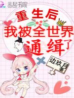 重生后我被全世界通缉了