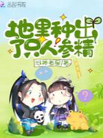 地里种出了只人参精
