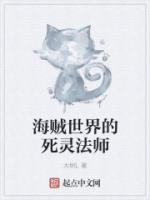 海贼世界的死灵法师