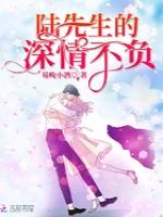 陆先生的深情不负