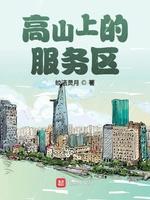 高山上的服务区
