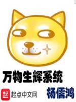 万物生辉系统