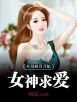 开局被直升机女神求爱