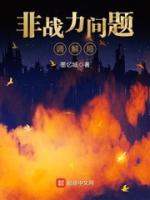 非战力问题调解局