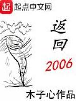 返回2006